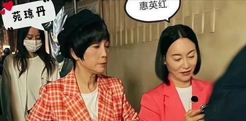 港星搞笑爆料视频大全下载